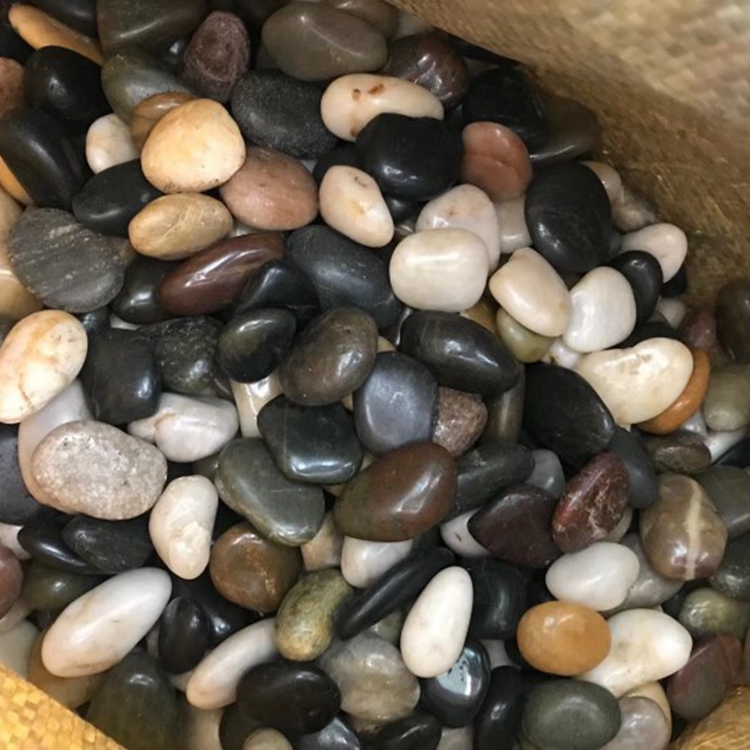 Summer beach concept