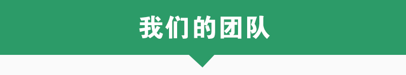 我们的团队