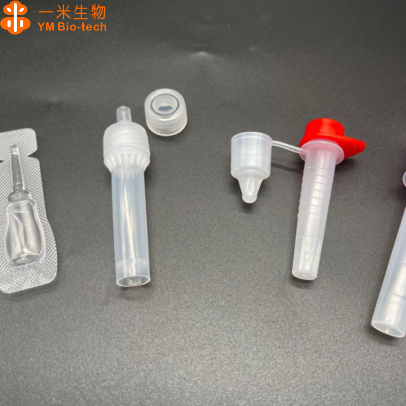 Summer beach concept