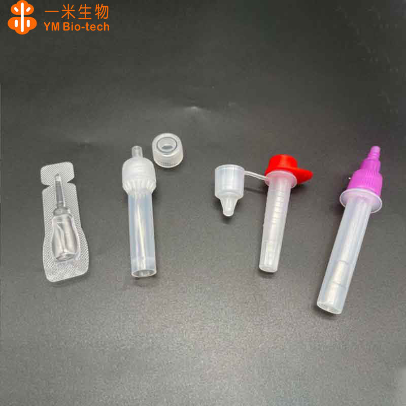 Summer beach concept