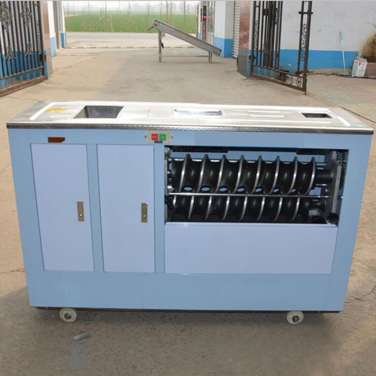 Summer beach concept