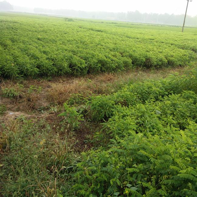 Summer beach concept