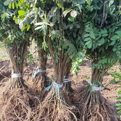 Summer beach concept