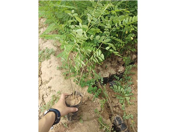 Summer beach concept