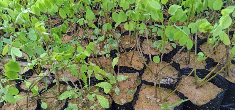 Summer beach concept