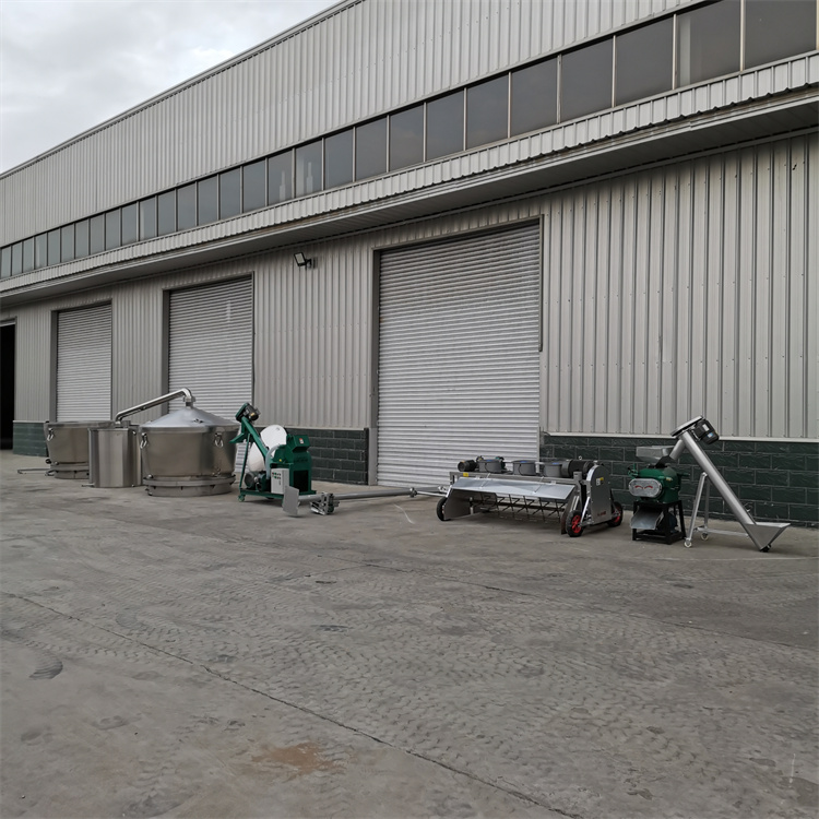 Summer beach concept