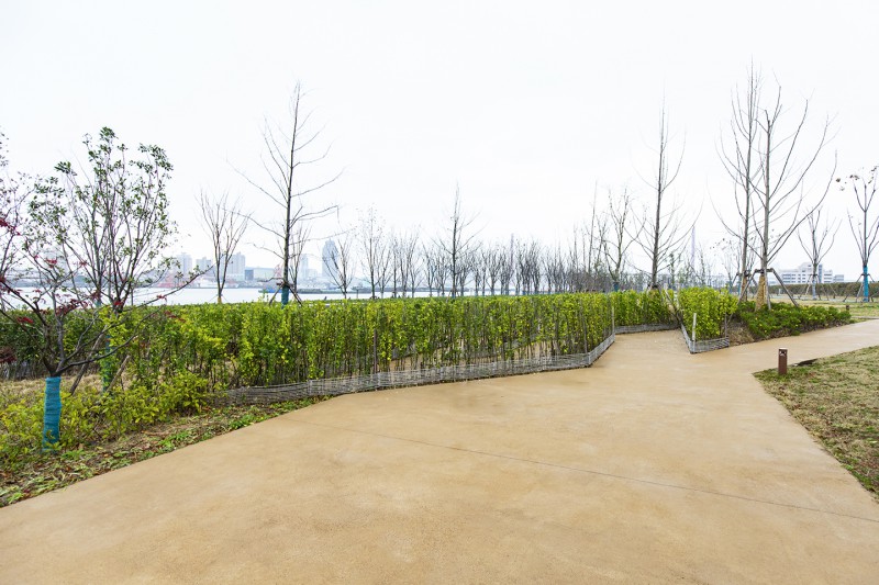 Summer beach concept