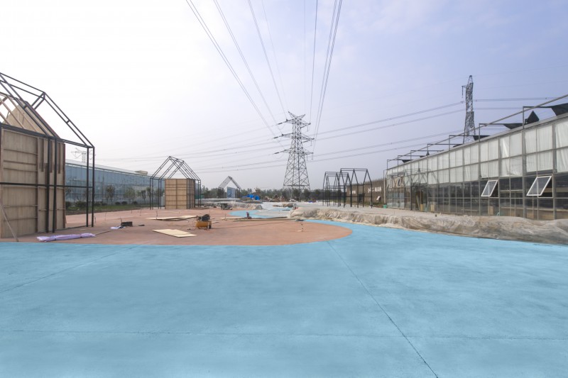 Summer beach concept