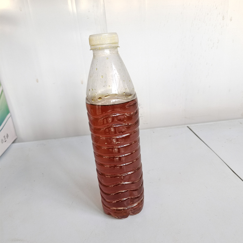 Summer beach concept