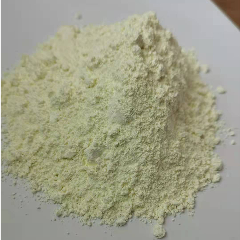 Summer beach concept