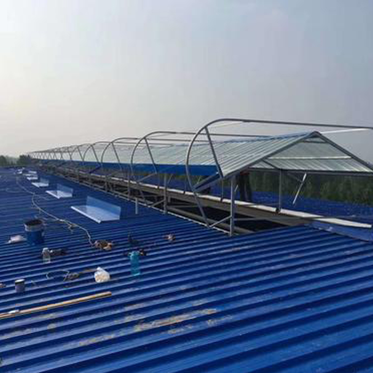 Summer beach concept