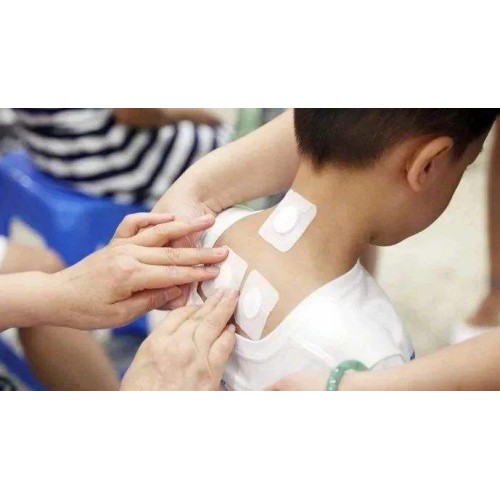 三伏贴定制厂家