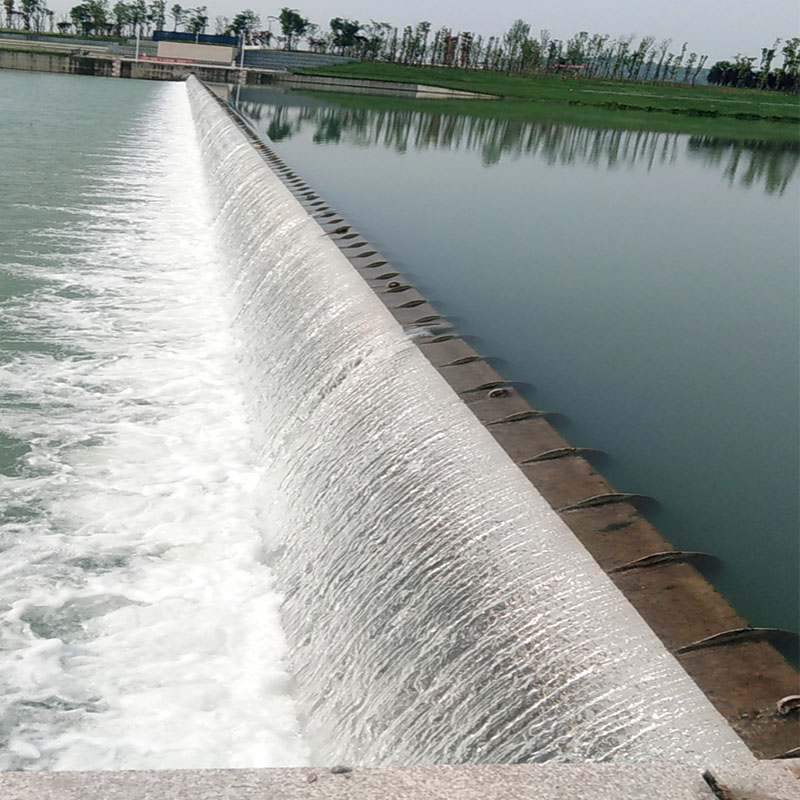 Summer beach concept