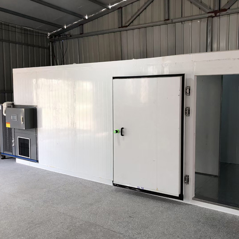 Summer beach concept