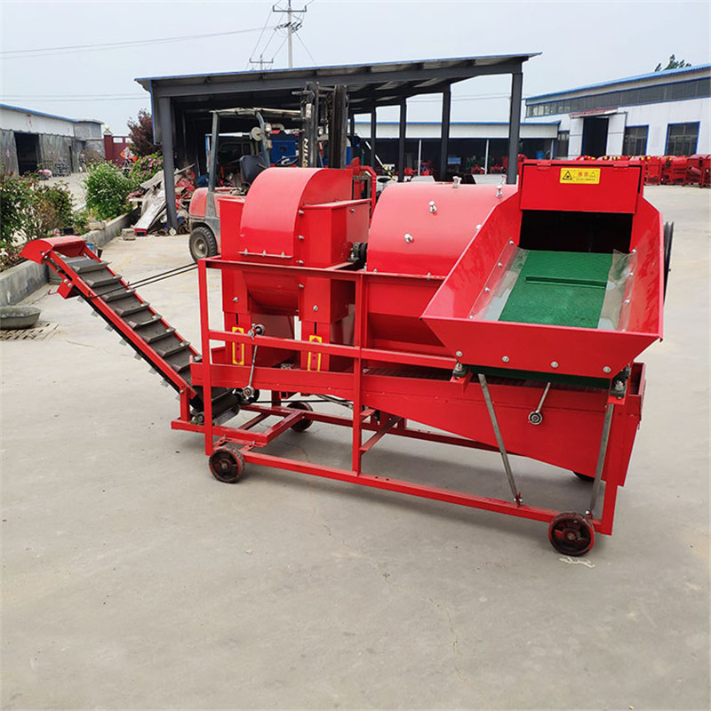 Summer beach concept