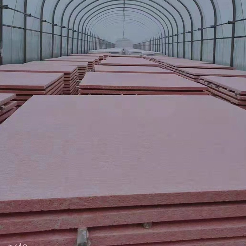 Summer beach concept