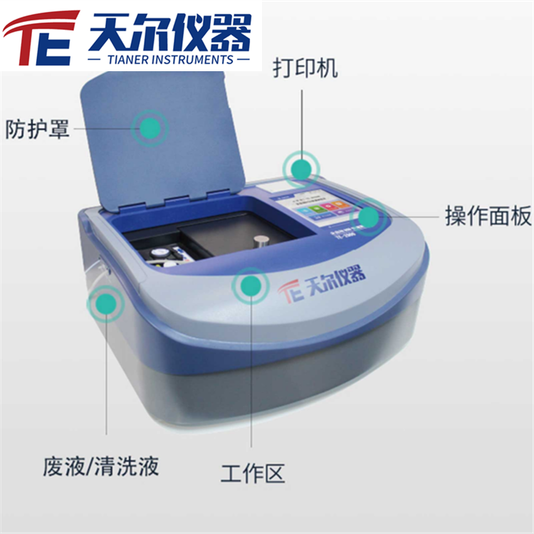 Summer beach concept