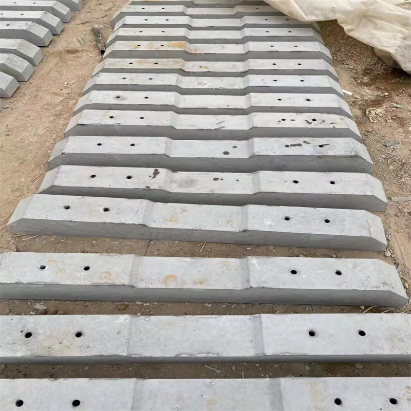 Summer beach concept