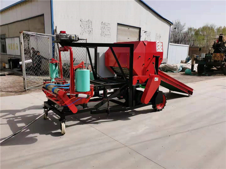 Summer beach concept