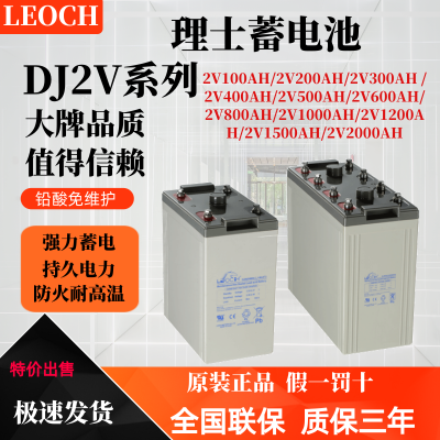 理·士蓄电池DJ1002V200AH/300AH/500AH