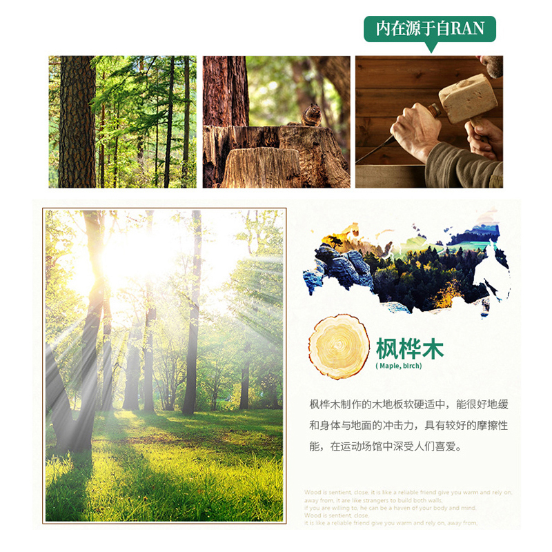 Summer beach concept