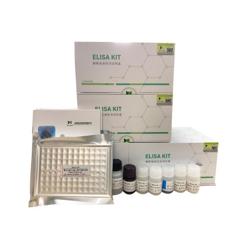 人胰蛋白酶原Ⅱ(Try-Ⅱ)ELISA试剂盒