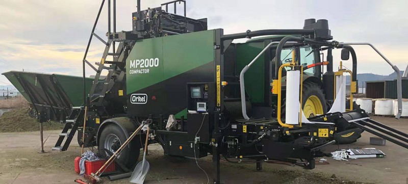 Summer beach concept