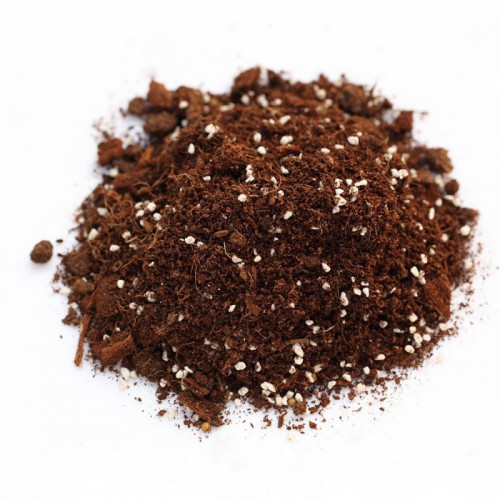 园艺 花卉瓜果蔬菜 草莓栽培基质 营养土