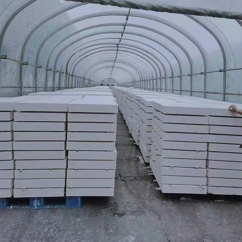 Summer beach concept