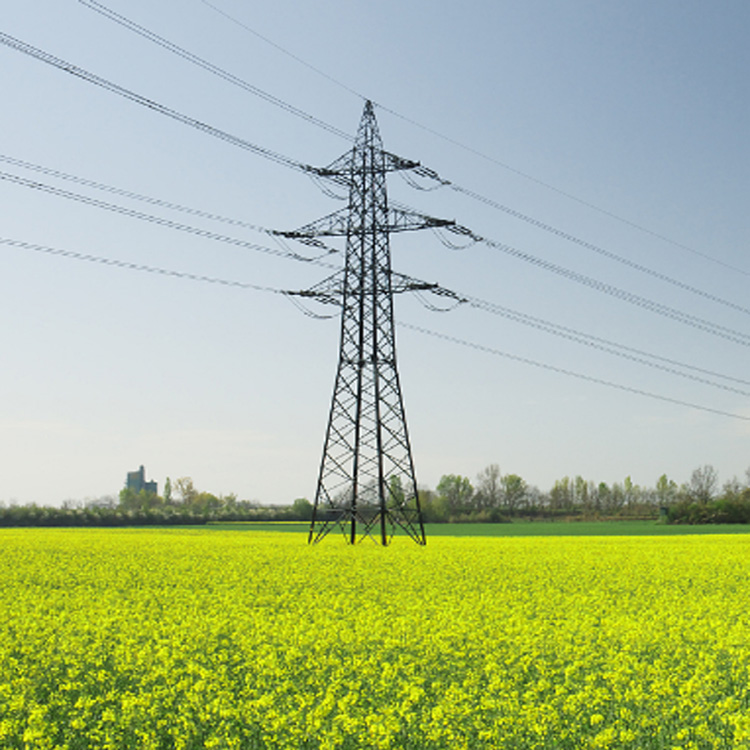 Summer beach concept