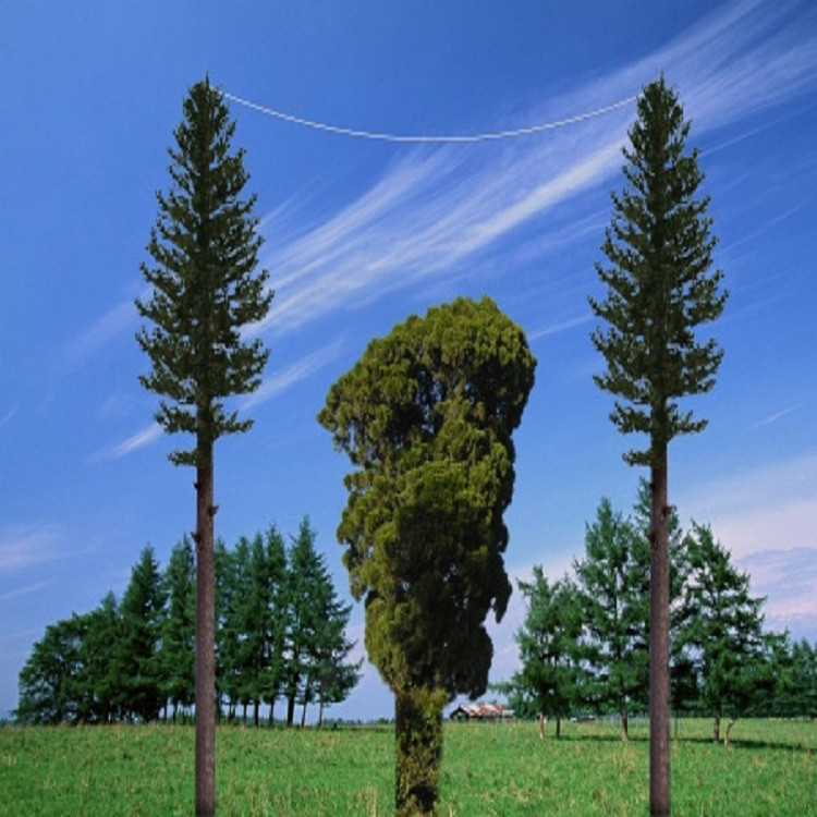 Summer beach concept