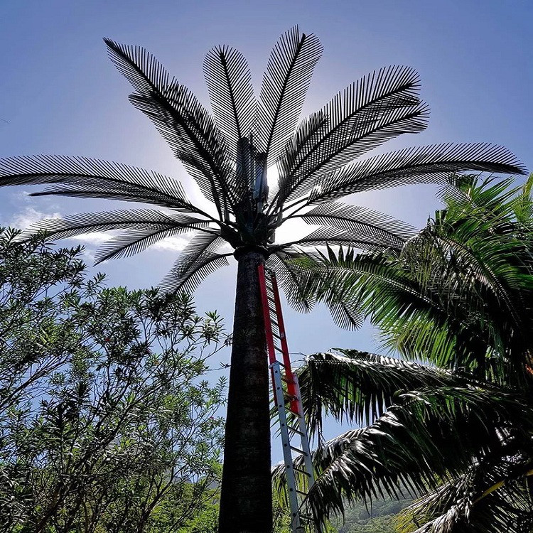 Summer beach concept