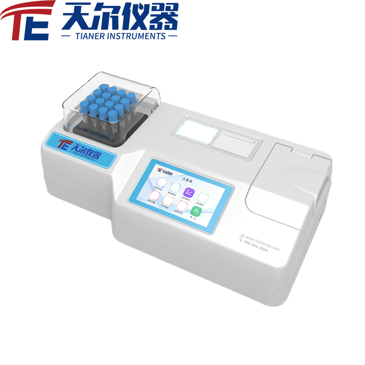 Summer beach concept