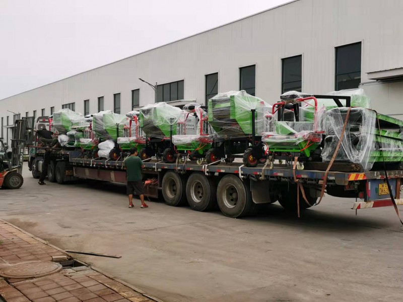 Summer beach concept