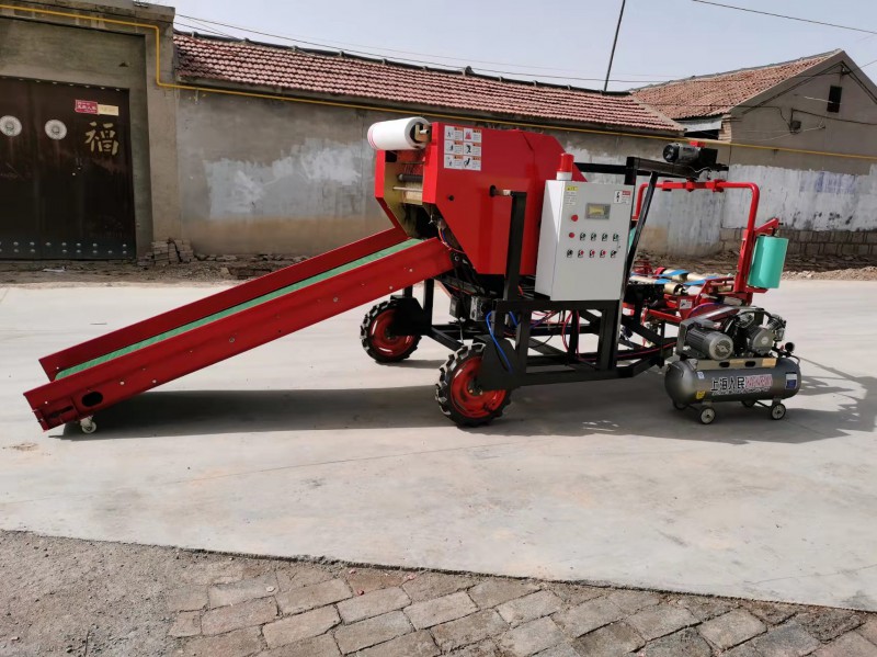 Summer beach concept