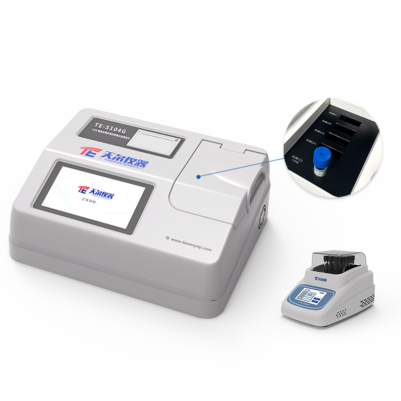 Summer beach concept