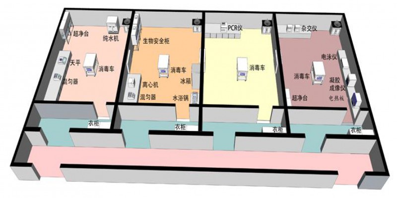 Summer beach concept