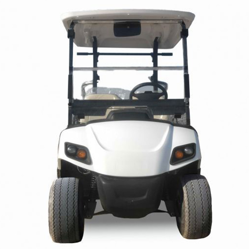 Summer beach concept