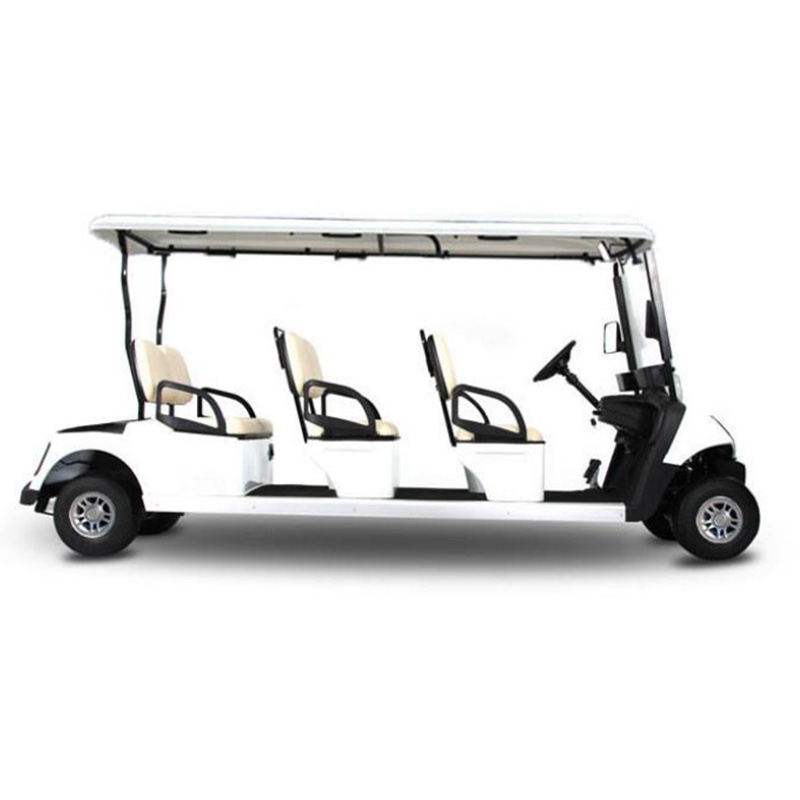 Summer beach concept