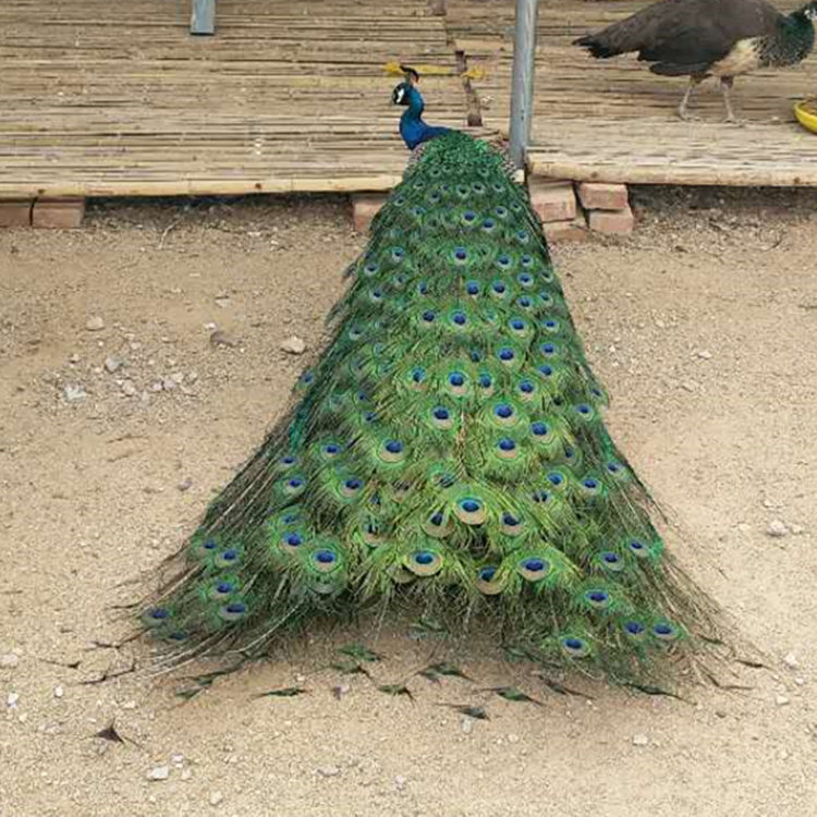 Summer beach concept