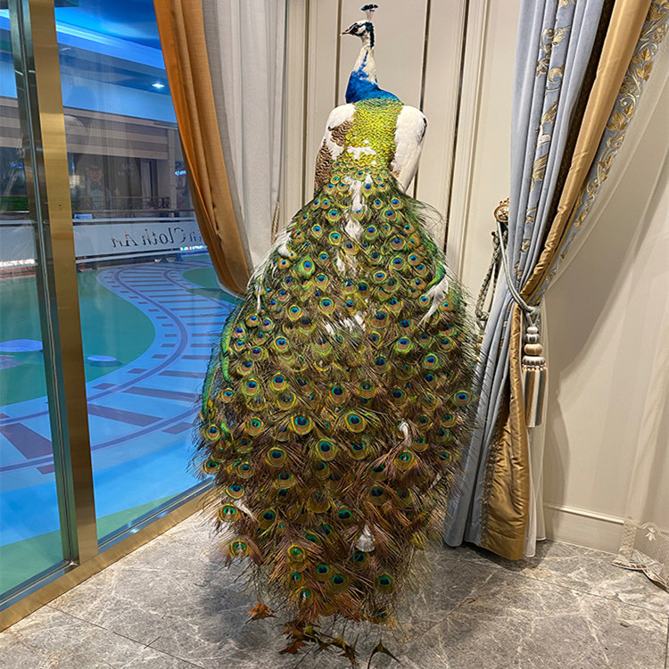 Summer beach concept