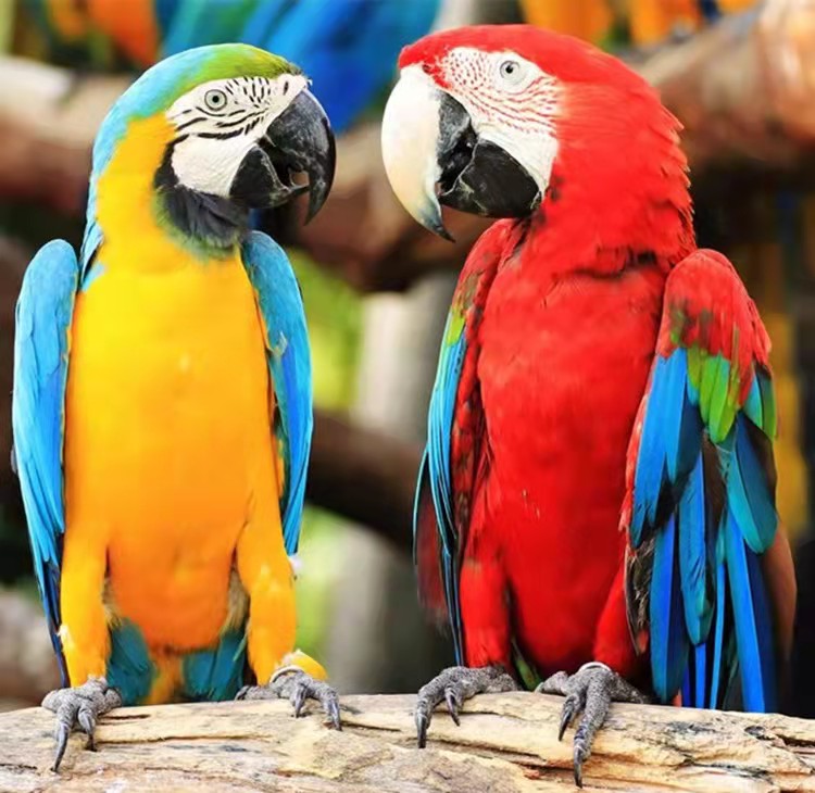 Summer beach concept