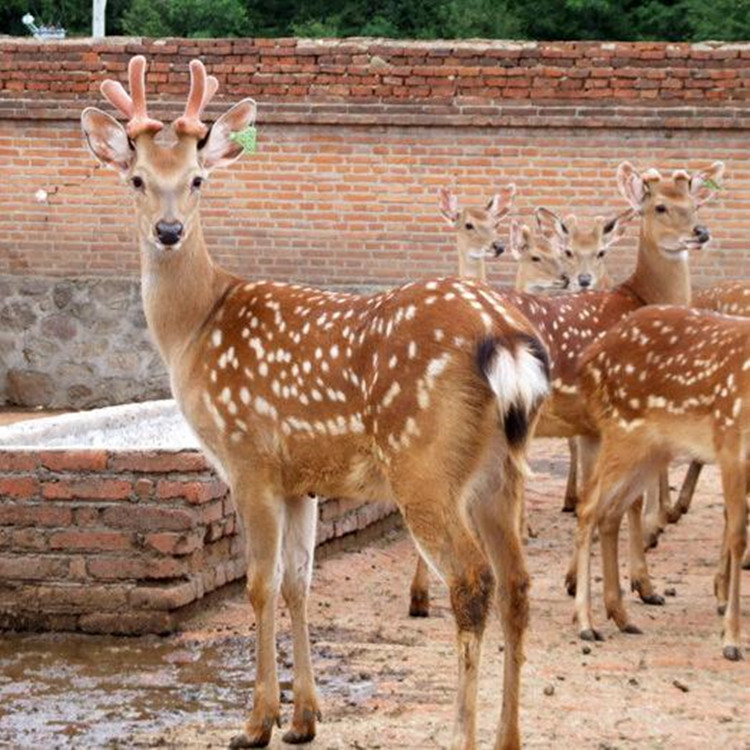 Summer beach concept