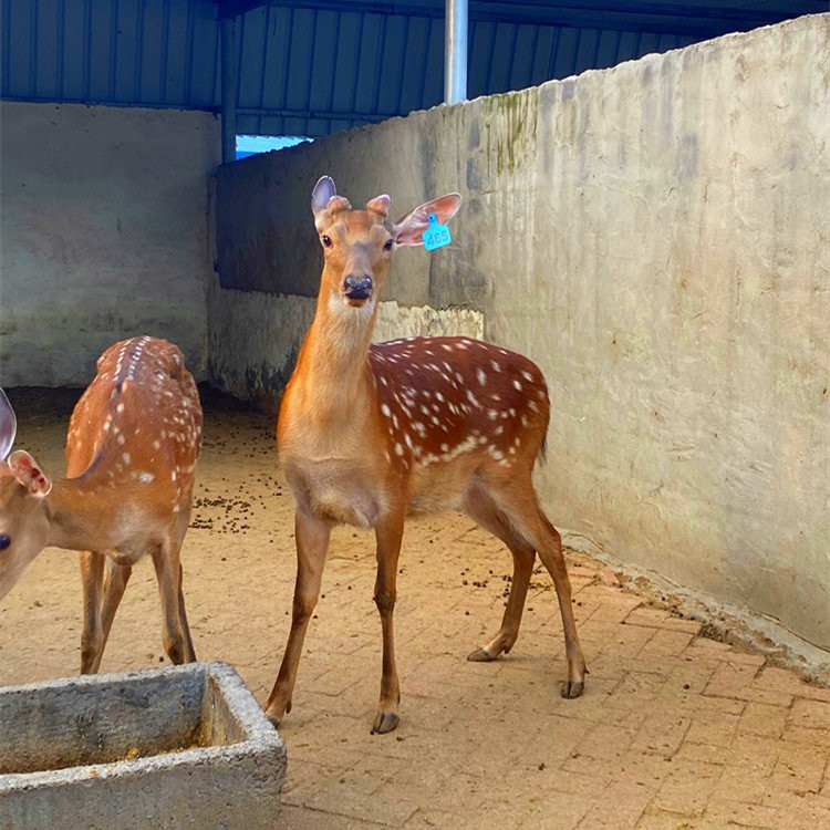 Summer beach concept