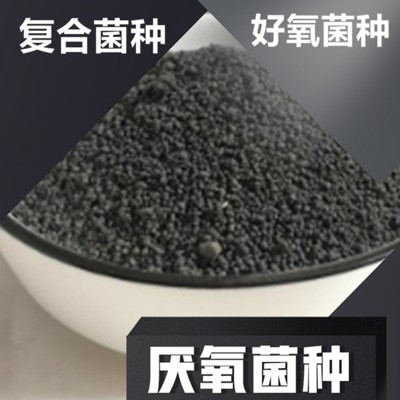 菌种 复合菌种 污水处理复合菌种 生物菌种 污水处理菌种