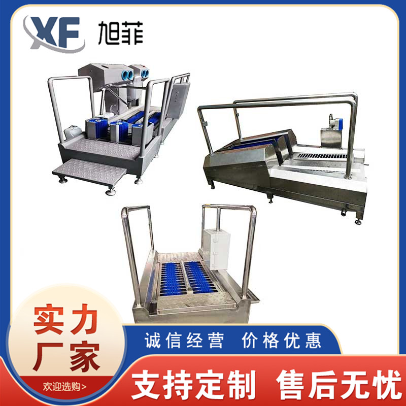 Summer beach concept