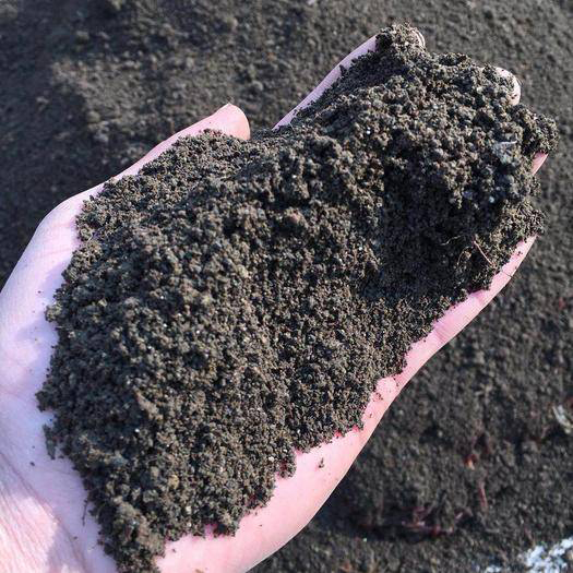 Summer beach concept