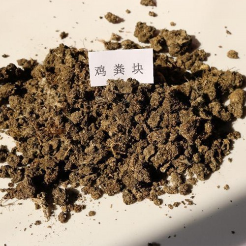 干鸡粪 晒干鸡粪 风干鸡粪 晾干鸡粪