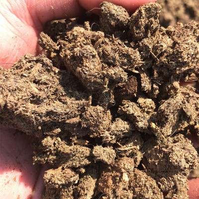 干牛粪 晒干牛粪 风干牛粪 晾干牛粪