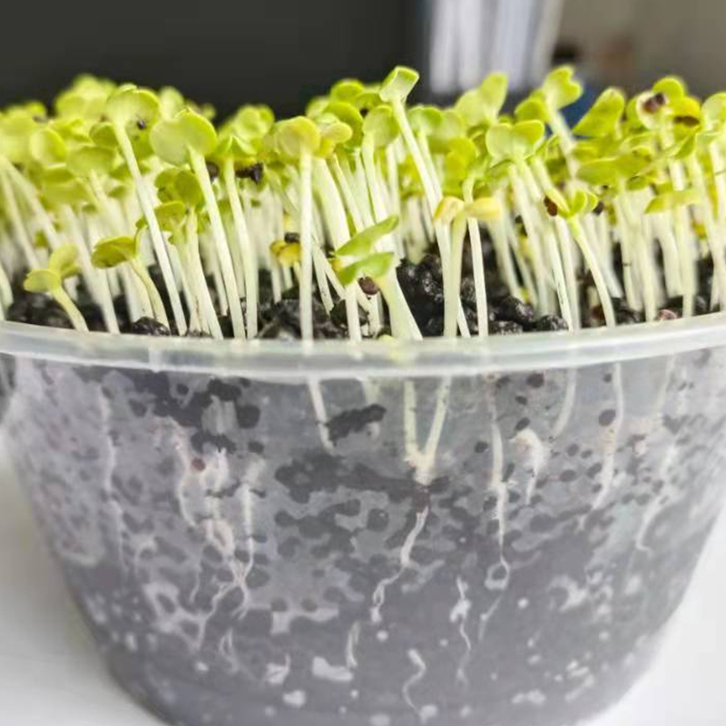 Summer beach concept